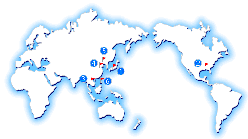 GLOBAL OPERATIONS OF TRIS GROUP